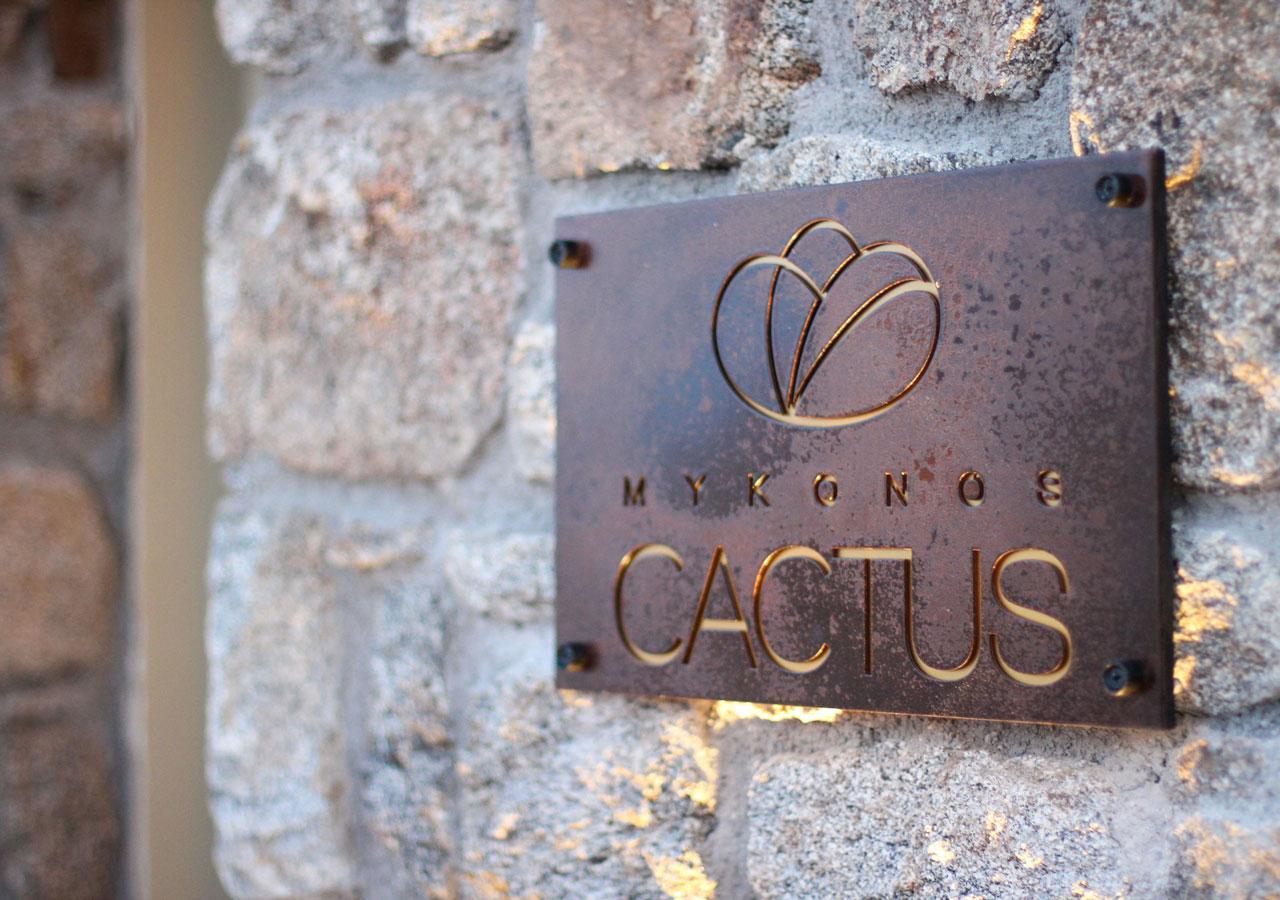 Mykonos Cactus Hotell Ornos  Exteriör bild